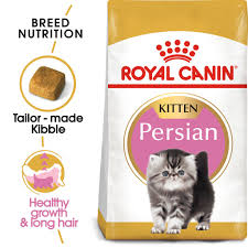 RC PERSIAN KITTEN KIBBLES DRY FOOD 2KG