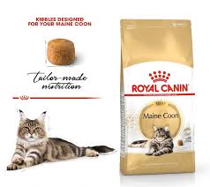 RC MAINE COON ADULT DRY FOOD 4KG